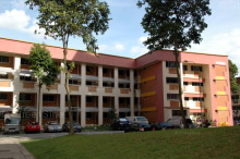 Blk 248 Bangkit Road (Bukit Panjang), HDB 5 Rooms #214372